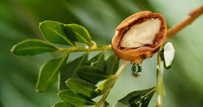 Argan 