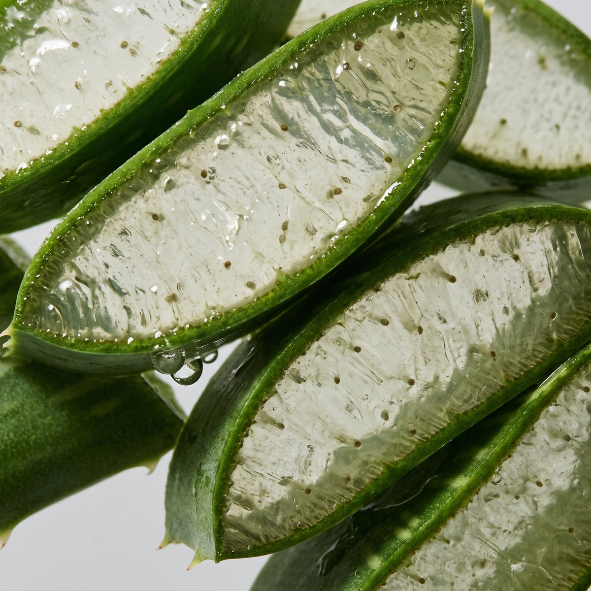 Aloe Vera + Green Tea + Rosemary