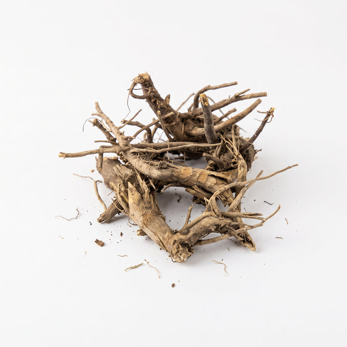 DANDELION ROOT