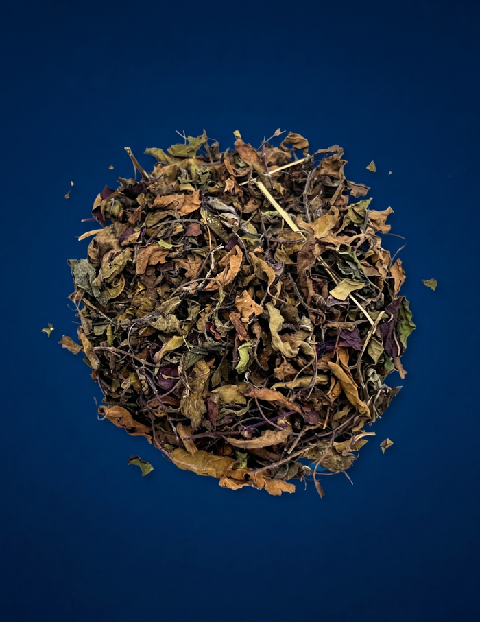 HOLY BASIL