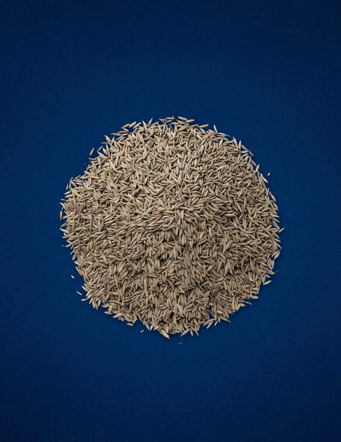 LETTUCE SEEDS